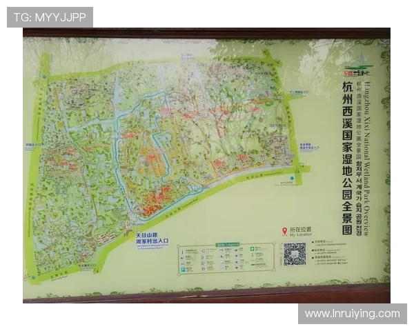 杭州足球队的盯防革新探索与实践全景分析 杭州足球队的盯防革新探索与实践全景分析