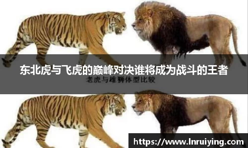 东北虎与飞虎的巅峰对决谁将成为战斗的王者
